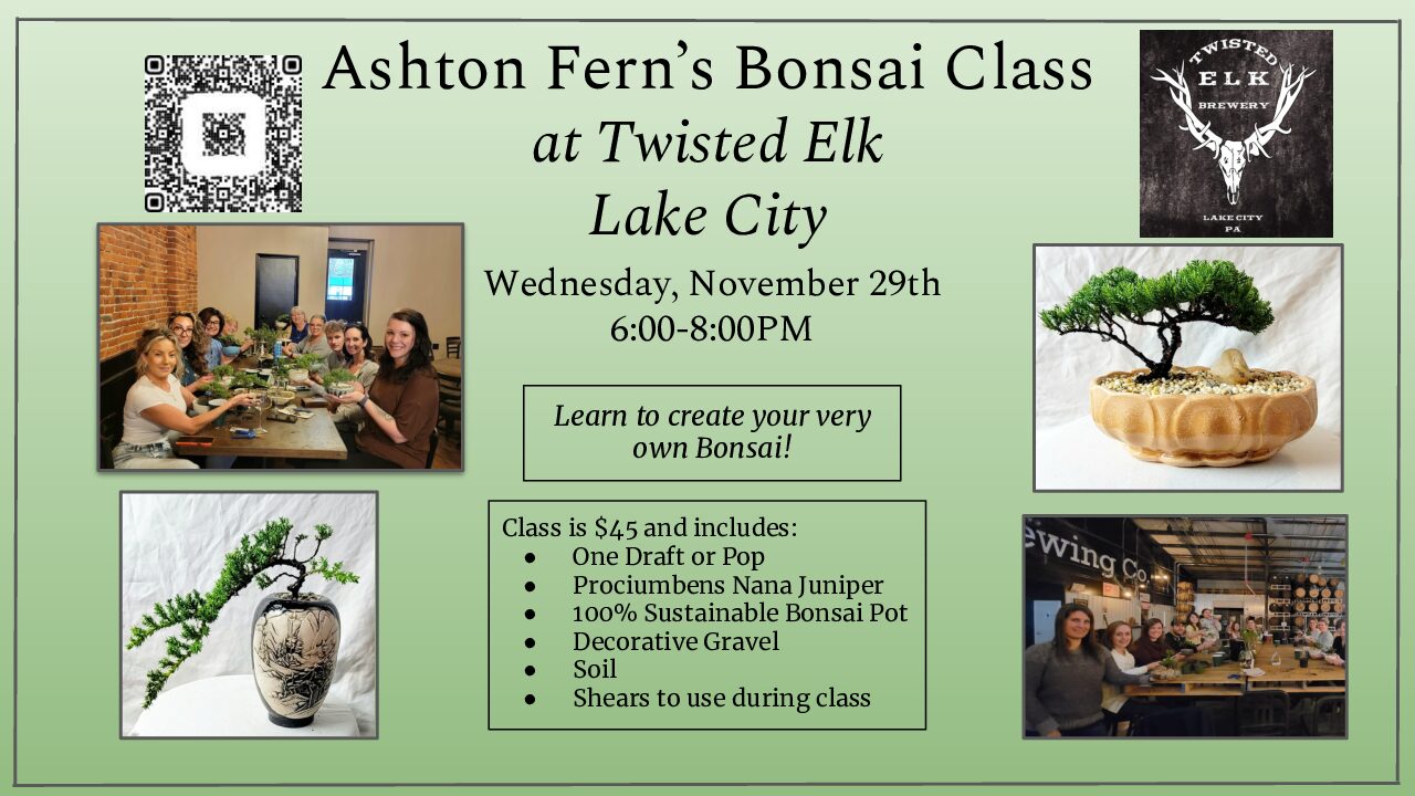 Ashton Fern's Bonsai Class