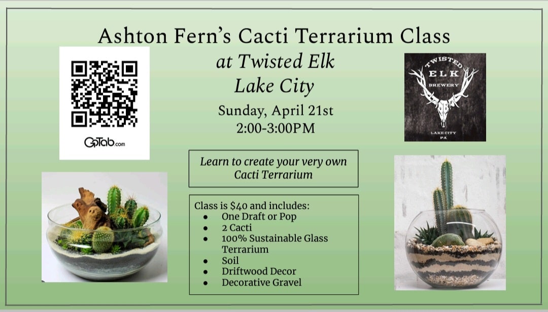 Cacti Terrarium Class