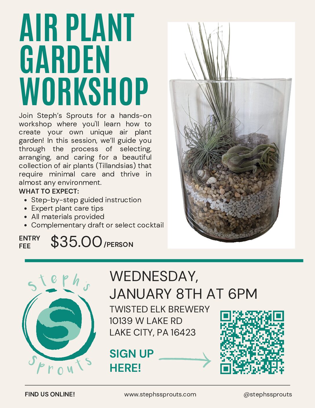 AIR PLANT GARDEN WORKSHOP