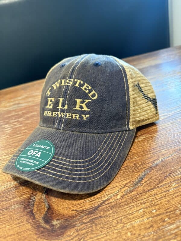 Navy Trucker Cap